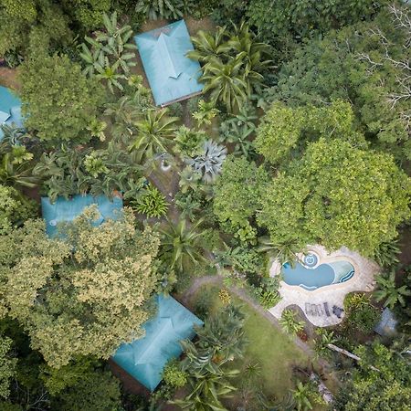 El Nido Jungle Lodge Puerto Viejo de Talamanca Bagian luar foto