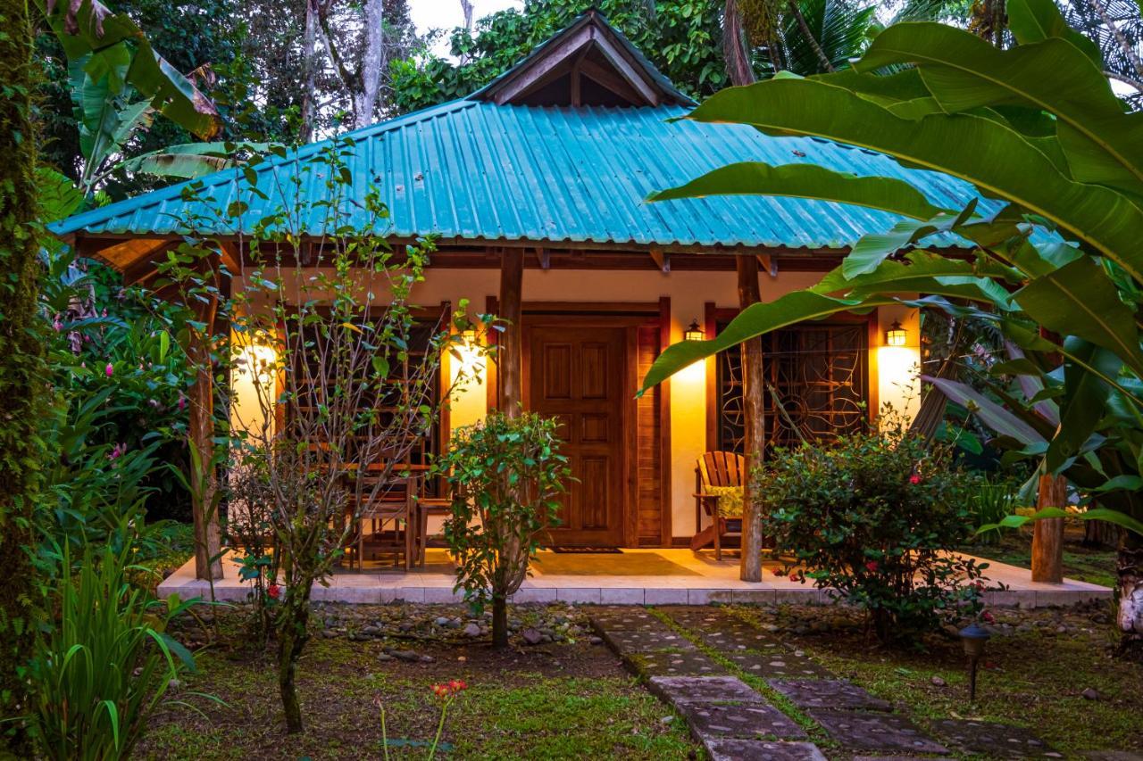 El Nido Jungle Lodge Puerto Viejo de Talamanca Bagian luar foto