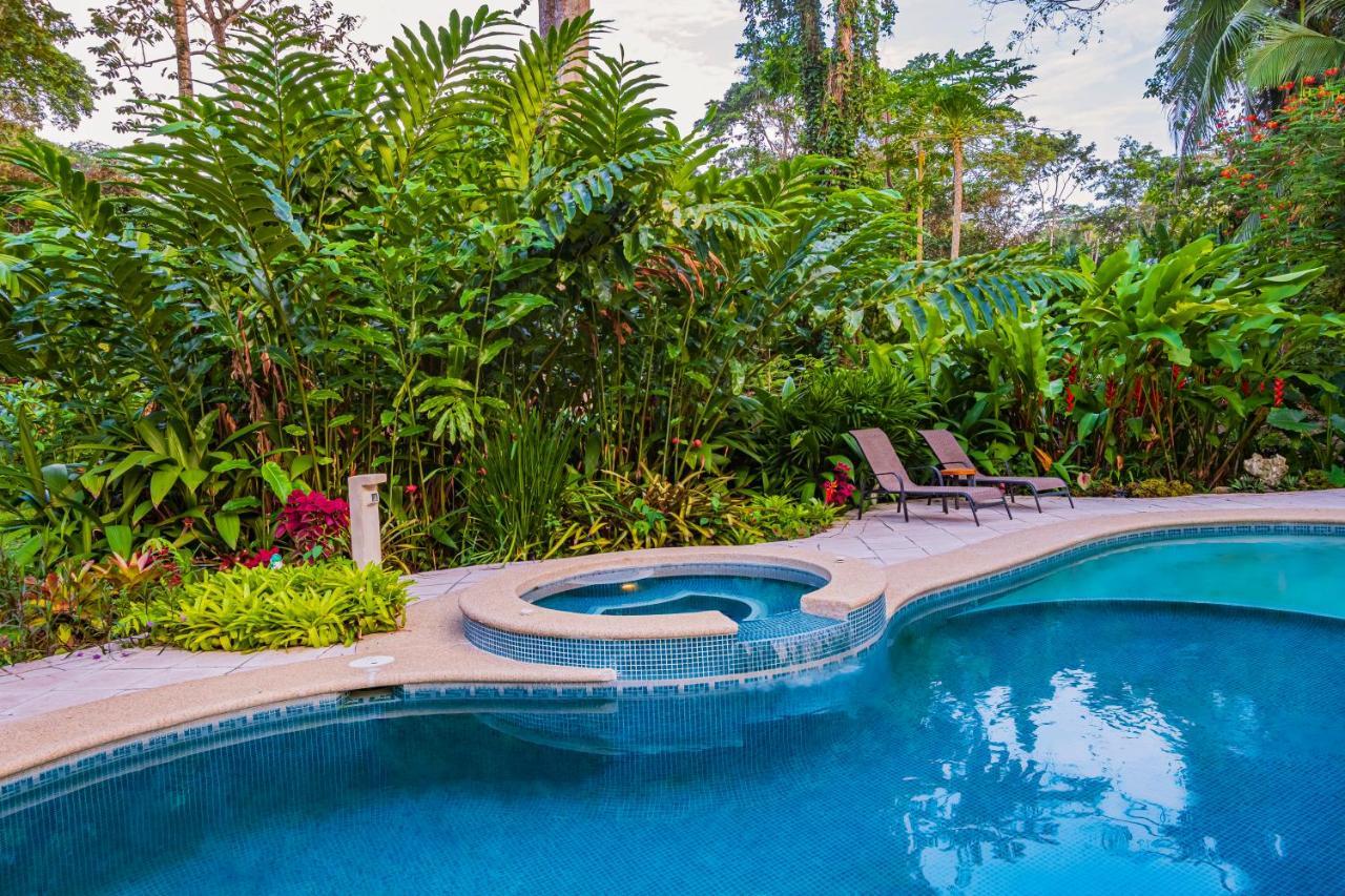 El Nido Jungle Lodge Puerto Viejo de Talamanca Bagian luar foto