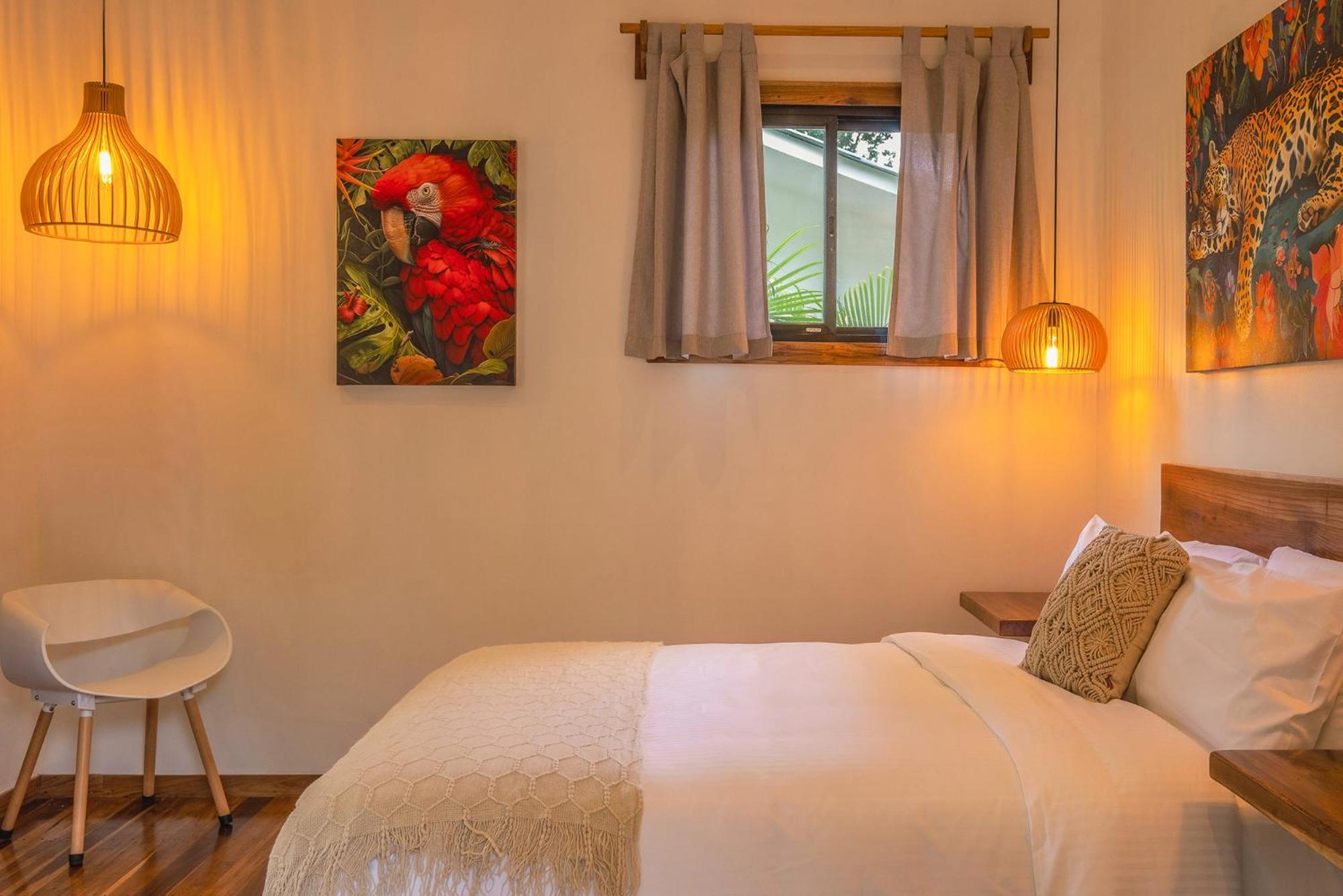 El Nido Jungle Lodge Puerto Viejo de Talamanca Bagian luar foto