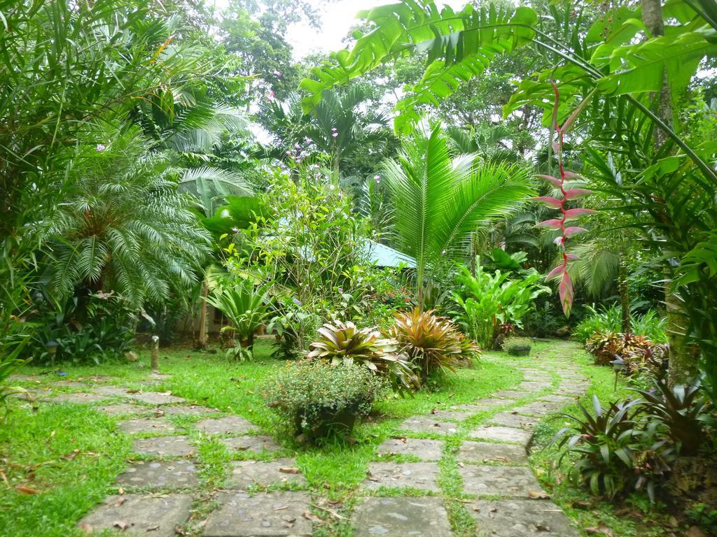 El Nido Jungle Lodge Puerto Viejo de Talamanca Ruang foto