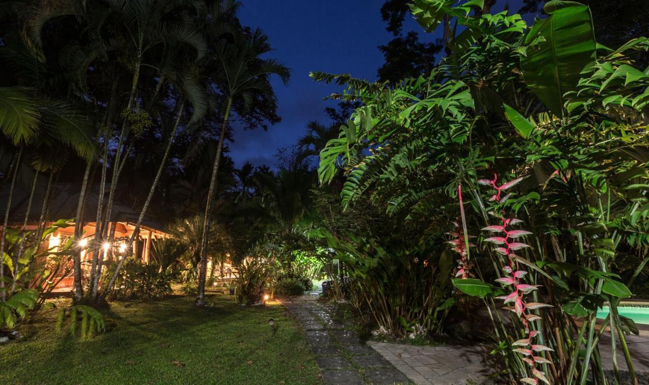 El Nido Jungle Lodge Puerto Viejo de Talamanca Bagian luar foto