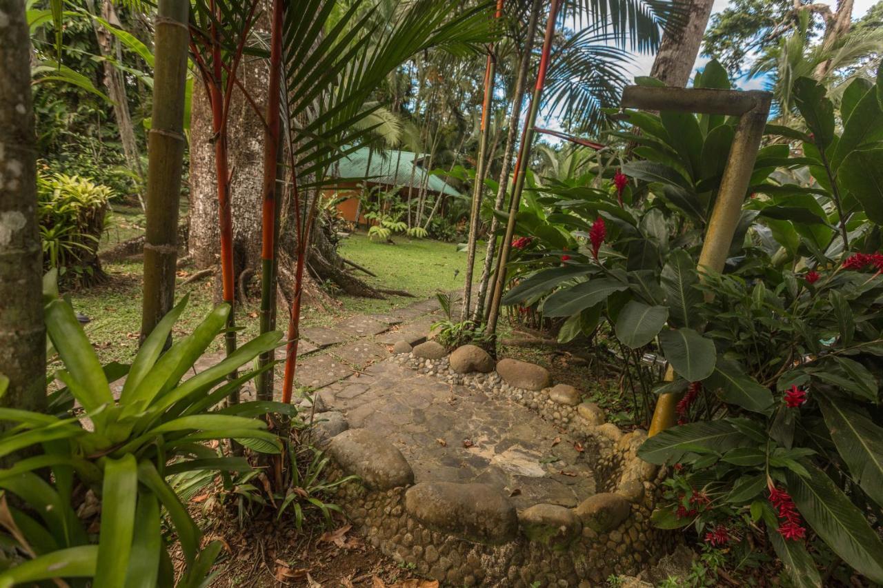 El Nido Jungle Lodge Puerto Viejo de Talamanca Bagian luar foto