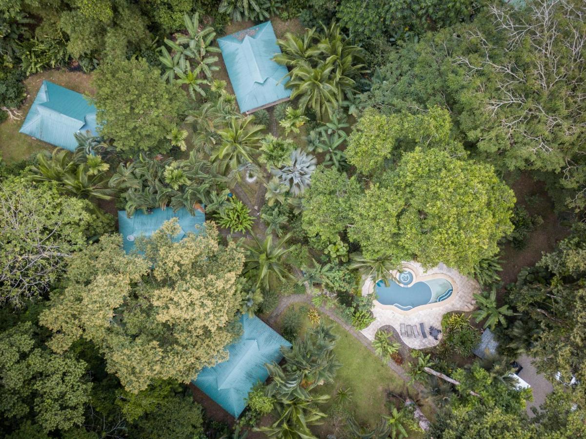 El Nido Jungle Lodge Puerto Viejo de Talamanca Bagian luar foto